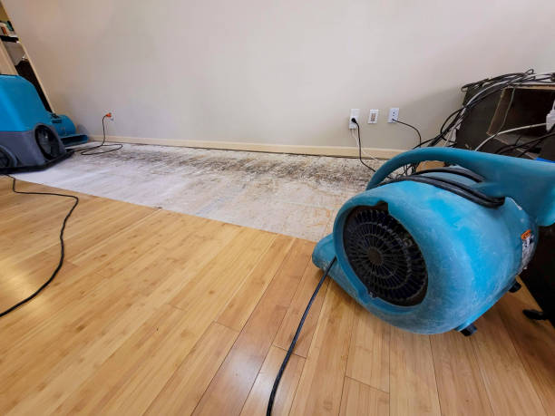 Professional Flood Damage Cleanup technician working in Safford, AZ